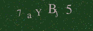 Validation image
