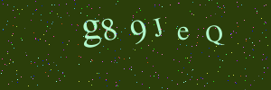 Validation image