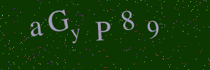 Validation image
