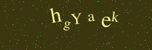 Validation image
