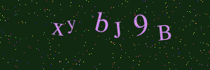 Validation image