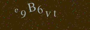 Validation image