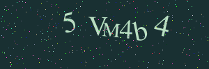 Validation image