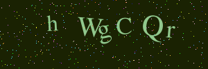 Validation image