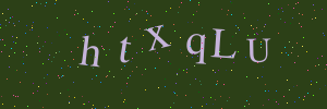 Validation image