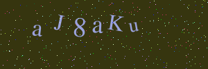 Validation image