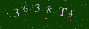 Validation image